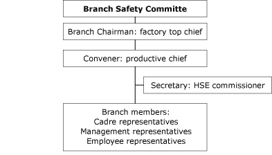 Safety Committee Organizational Chart